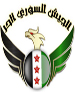 اتهام یک عضو گروه موسوم به ارتش آزاد سوريه در مصر به در اختیار داشتن سلاح سرد بدون مجوز و پوشیدن لباس نظامی
