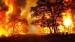 آتش‌سوزی روز گذشته در پارک لتیان 10700 اصله درخت را نابود کرد!