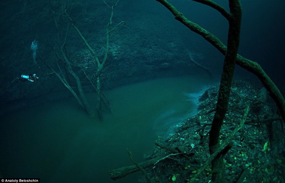 عکسهای دیدنی رودخانه ای شگفت انگیز در زیر دریا! 1