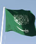 پادشاه عربستان معاون وزير دفاع اين کشور را برکنار کرد