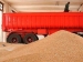 بیش از 40 هزار تن گندم در استان اردبیل از کشاورزان خریداری شد
