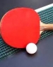قضاوت داور ایرانی تنیس روی میز در چین