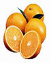 کمبود پرتقال در سياه بهار مهم ترين مشکل موجود بر سر راه توليد