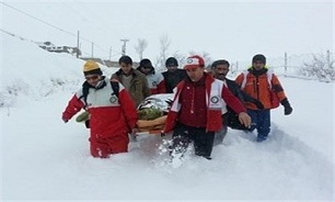 ریزش مرگبار بهمن در پیست اسکی شمشک/ 3 تن کشته و مصدوم شدند