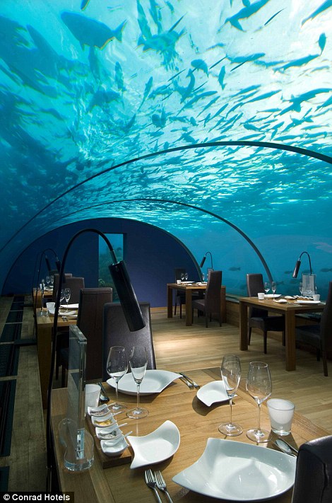 نخستین رستوران شیشه‌ای زیردریایی + تصاویر 1