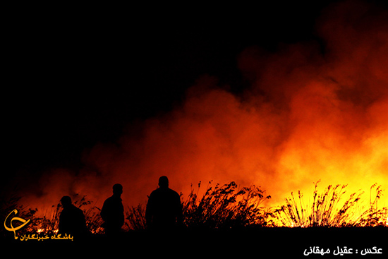 آتش سوزی در تنهاترین جزیره ایرانی خزر 