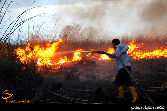 آتش سوزی در تنهاترین جزیره ایرانی خزر 1