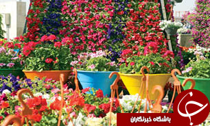 گل هم کالای لوکس شد/کاهش صادرات گل و گیاه در برابر افزایش واردات