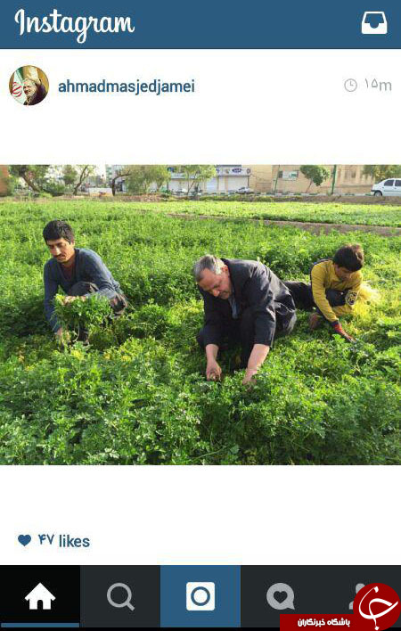 ریس سابق شورای شهر در حال کار در زمین کشاورزی+عکس