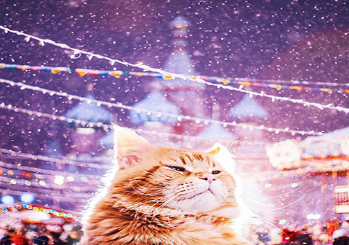 مسکو در ایام جشن کریسمسِ آیینِ اُرتدکس + تصاویر
