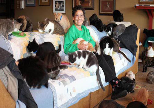 این زن با 1100 گربه زندگی می‌کند + تصاویر 1