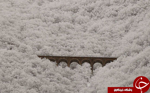 بزرگترین پل ایران سفید پوش شد+تصاویر