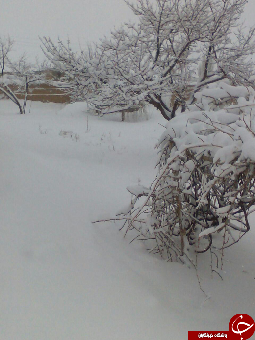 برف امروز روستای خنداب را سفیدپوش کرد + تصاویر