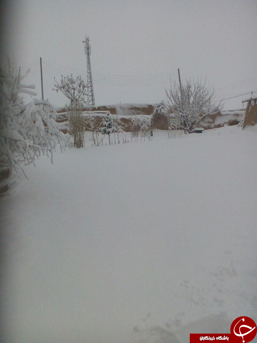 برف امروز روستای خنداب را سفیدپوش کرد + تصاویر