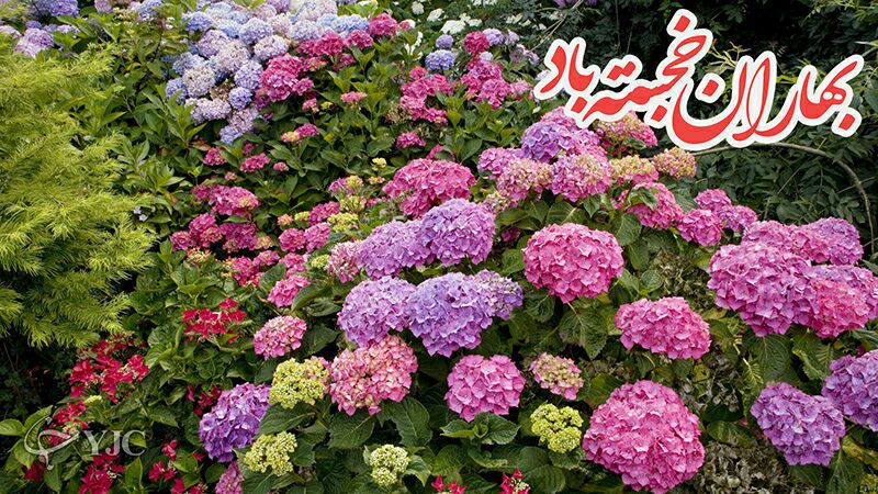 کارت پستال جدید ویژه عید نوروز ۹۵ 