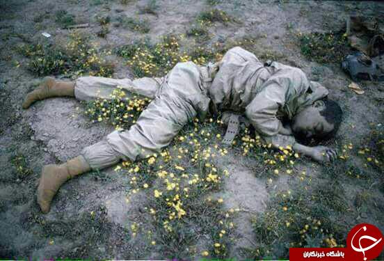 شهید ایرانی در میان گل ها+عکس