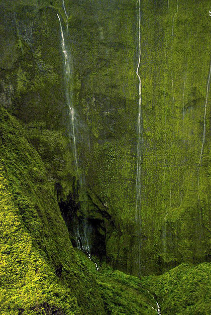 سبزترین آبشار دنیا (عکس)