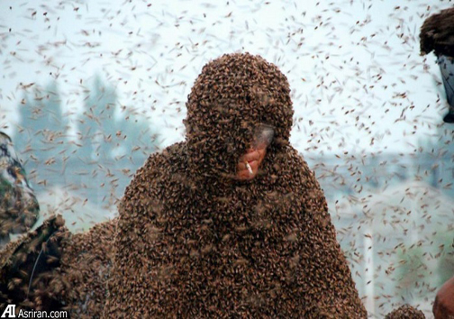 رکورد شکنی زنبوردار چینی +عکس
