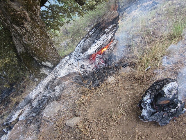 آتش سوزی در کلاردشت+تصاویر