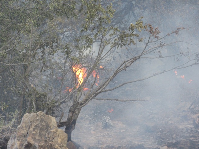 آتش سوزی در کلاردشت+تصاویر