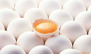 صادرات بیش از 22 هزار تن تخم مرغ به کشورهای همسایه