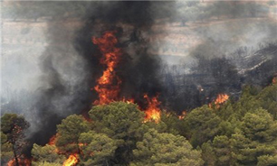 20 هکتار جنگل‌های بیستون در آتش سوخت