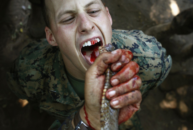 دشوارترین تمرین‌های نظامی دنیا+ عکس