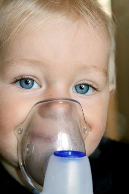 رژیم غذایی پرفیبر مادر عامل حفاظت نوزاد در برابر آسم
