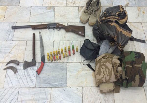 کشف 2 اسلحه غیرمجاز و اجزای بدن یک کل وحشی در شهرستان دماوند