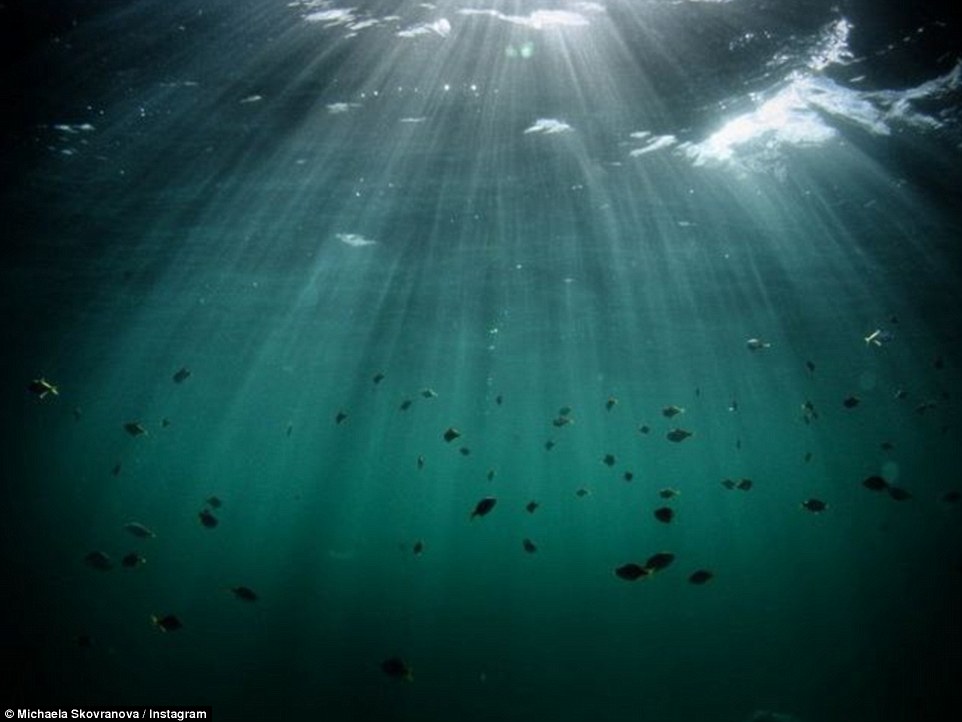 تصاویری وهم انگیز از دنیای زیر آب