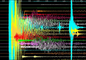 آخرین گزارش از وقوع زمین لرزه ۴٫۶ ریشتری فیروزکوه