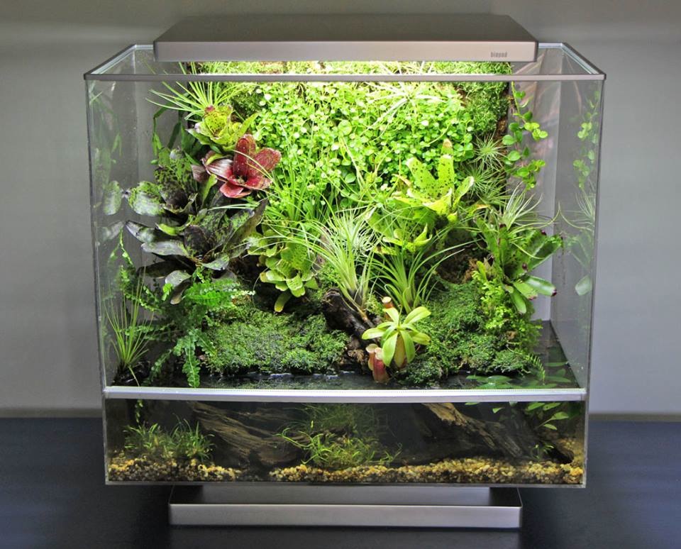 گلخانه‌ای هوشمند برای نگهداری حیوانات و گیاهان + تصاویر