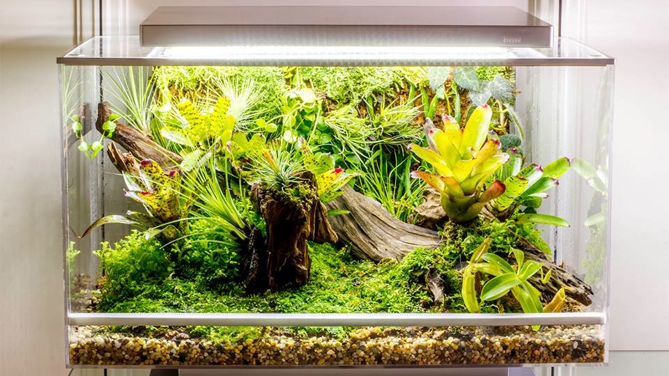 گلخانه هوشمند برای نگهداری حیوانات و گیاهان + تصاویر