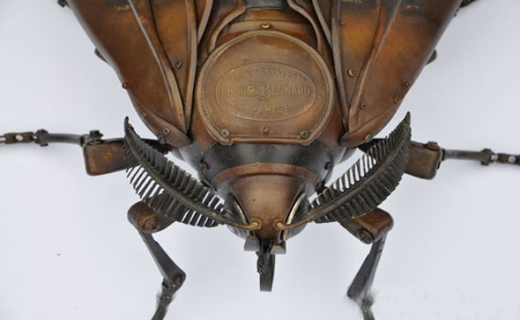 بی خطر ترین حشرات دنیا+ تصاویر