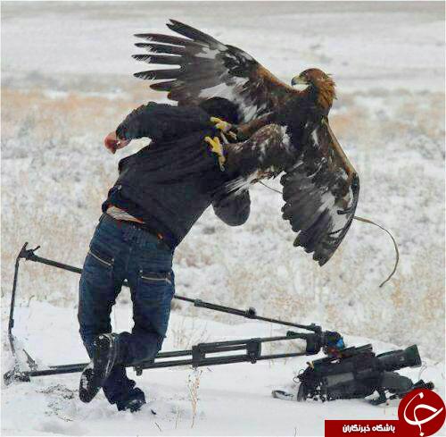 تیتر عقابی که به تصویر بردار هم رحم نمی کند+عکس