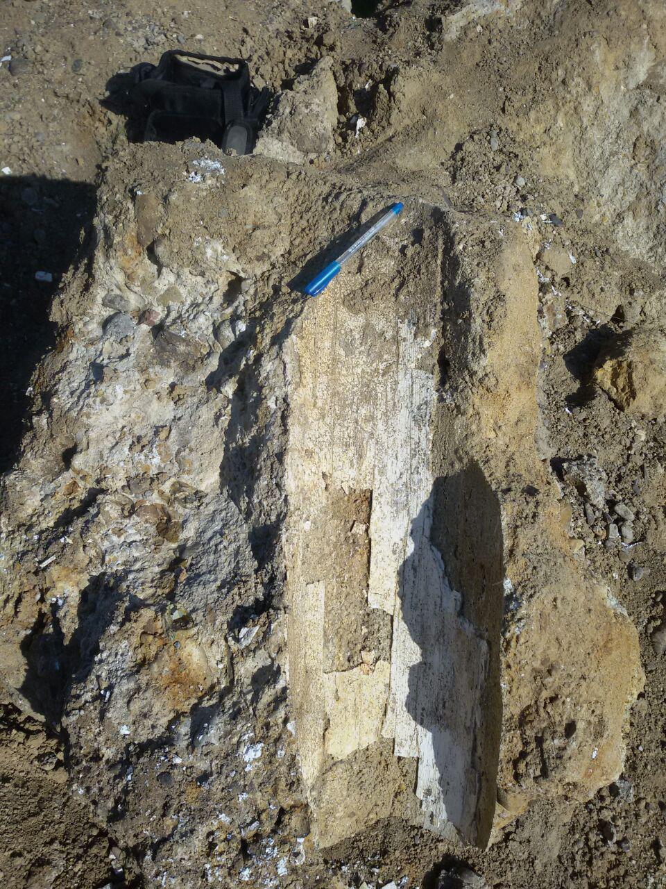 کشف بقایای جانور عظیم‌الجثه باستانی نادر در اردبیل + تصاویر
