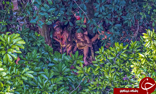کشف تصادفی قبیله‌ای غیرمتمدن در جنگلهای آمازون+ تصاویر