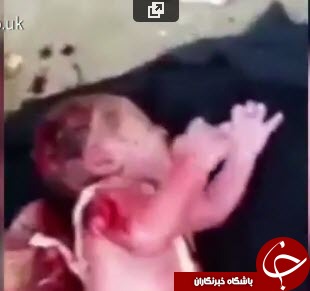 نوزاد رها شد در خیابان عابران را شوکه کرد+ تصاویر
