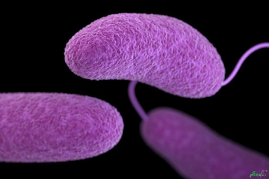 باکتری های گوشت خوار بدن دختر جوان را خوردند+تصاویر
