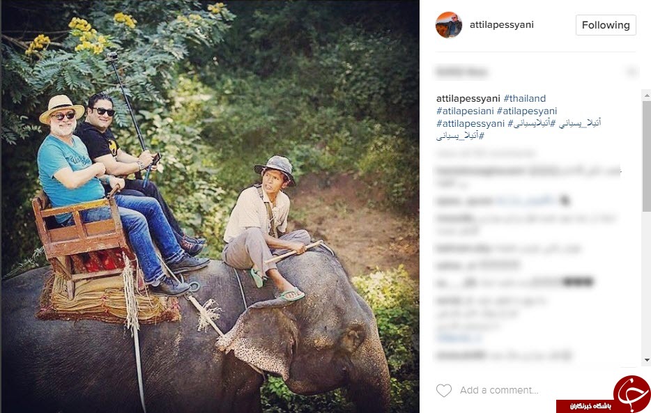 فیل سواری بازیگر مرد ایرانی در تایلند+عکس