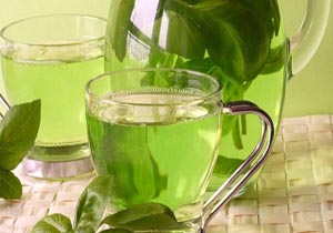 چای سبز بهترین جایگزین شیمی درمانی 1