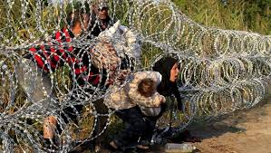 بلاتکلیفی پناهجویان در مرزها؛ تلاش برای امرار معاش در غیاب کمک‌های دولتی
