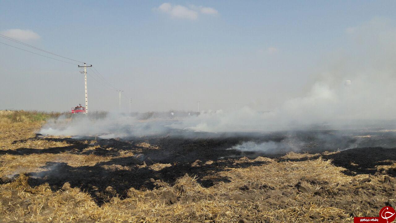 آتش‌سوزی مزارع گندم در شهرستان آق قلا + تصاویر