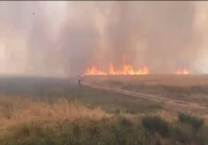 آتش‌سوزی در مزارع روستای هرسم + فیلم