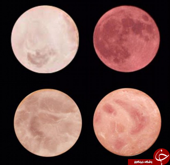 آیا شما فرق بین گوشت و ماه را متوجه می شوید؟ +تصاویر