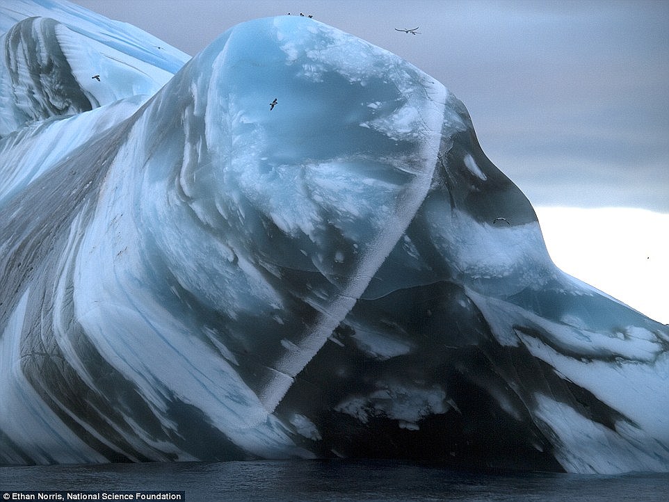 30 هزار سال انجماد/ کوه‌های یخ شناور بر پهنه اقیانوس+ تصاویر