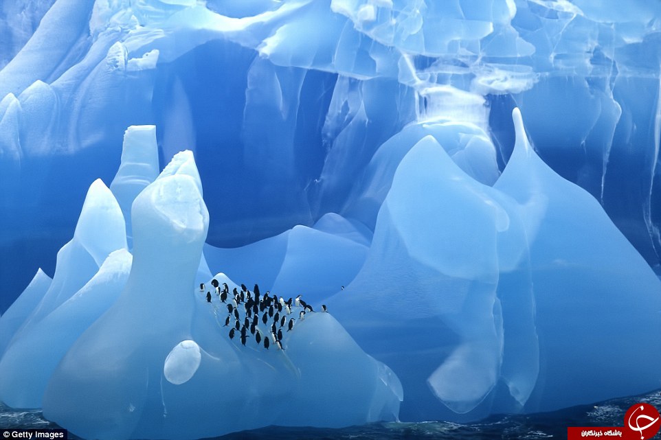 30 هزار سال انجماد/ کوه‌های یخ شناور بر پهنه اقیانوس+ تصاویر