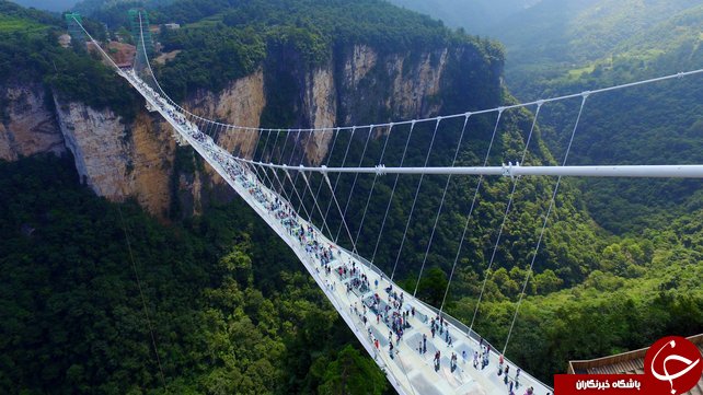 طولانی ترین پل شیشه ای جهان پس از افتتاح، تعطیل شد+ تصاویر