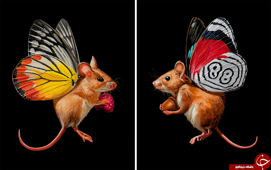 نقاشی جالبی جانوران دو رگه +تصاویر
