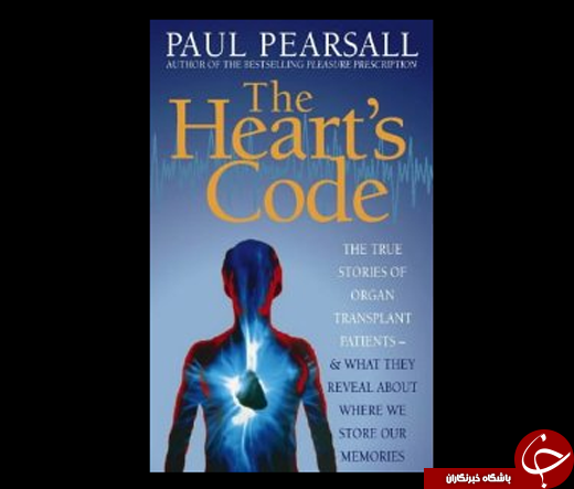مجله پزشکی قلب انسان چگونه کار میکند علائم بیماری قلبی عکس قلب اسرار بدن انسان آناتومی